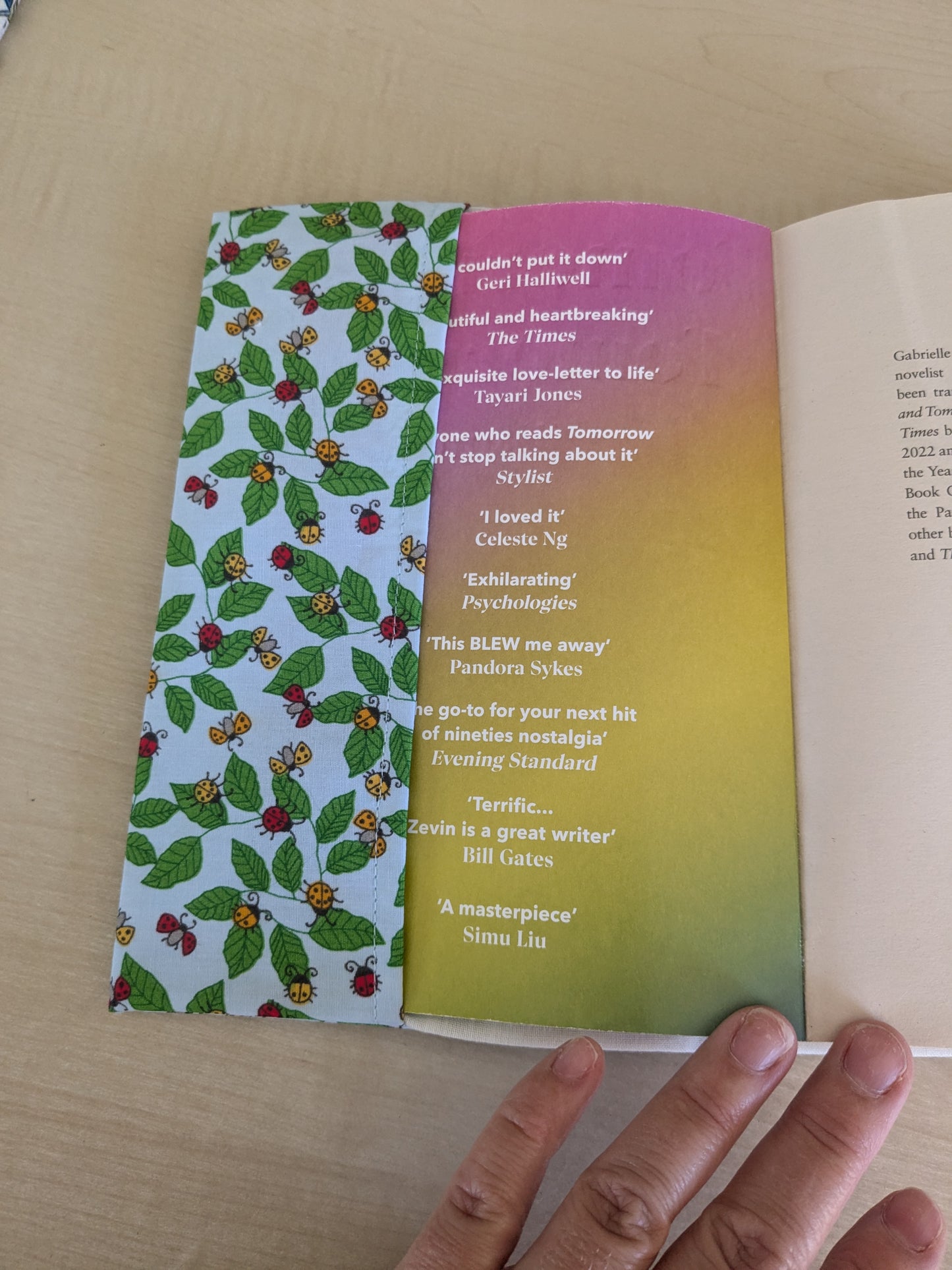 Book Cover - Lady bug